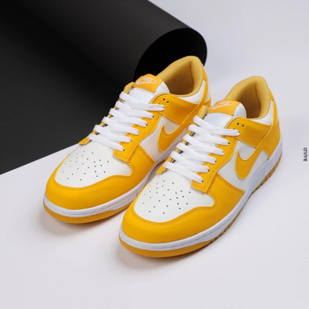 NIKE SB DUNK LOW
