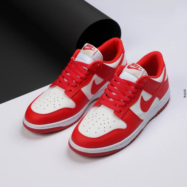 NIKE SB DUNK LOW