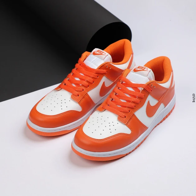 NIKE SB DUNK LOW